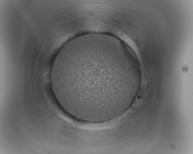 X0000092290017200709141309