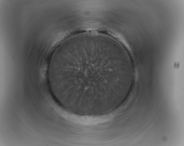 X0000092290018200709141309