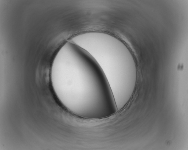 X0000092290019200709141309