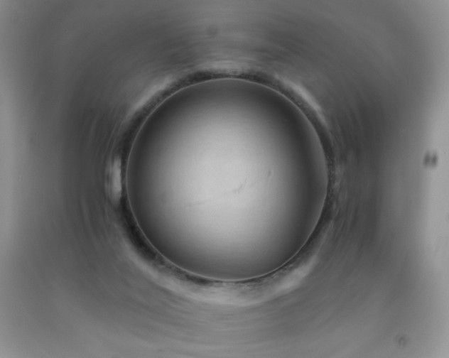 X0000092290020200709141309