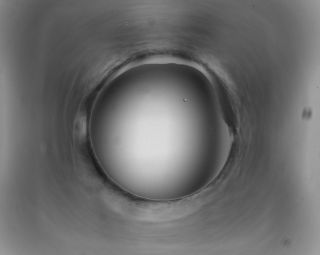 X0000092290021200709141309