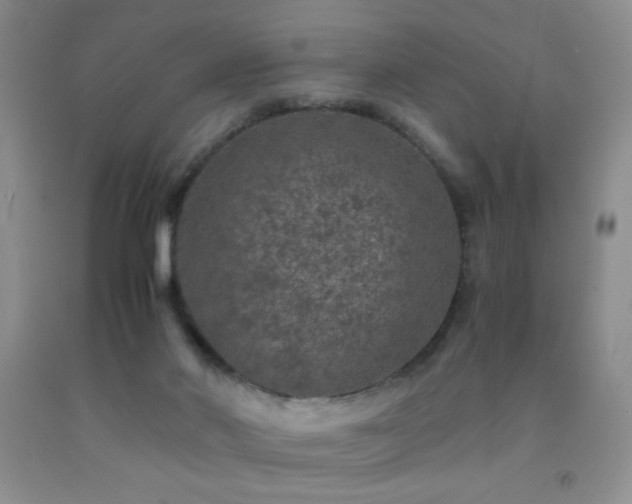 X0000092290022200709141309