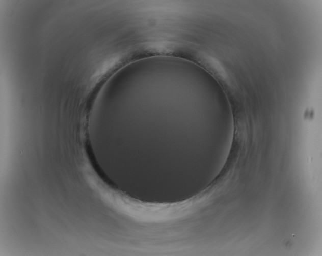 X0000092290023200709141309