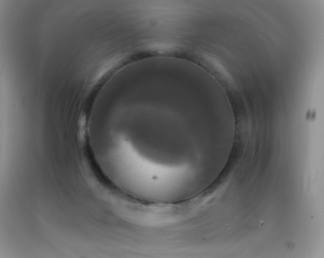 X0000092290024200709141309