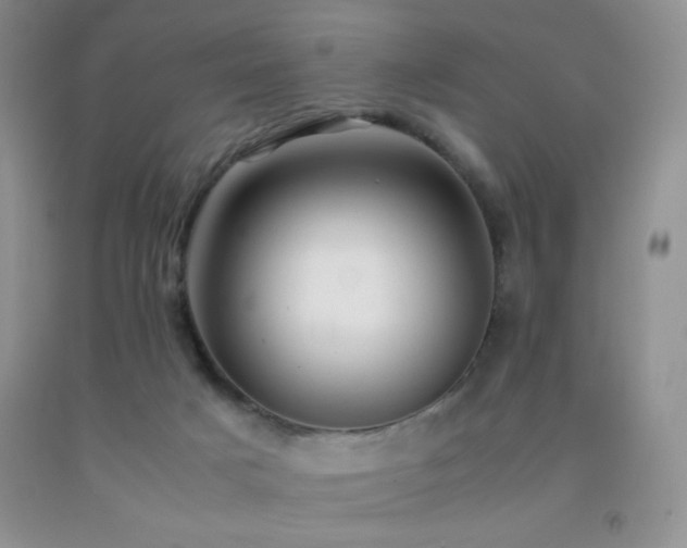 X0000092290025200709141309