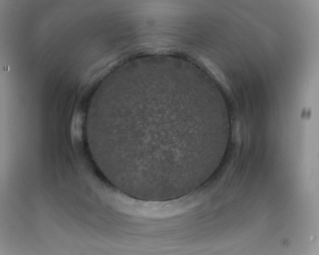 X0000092290026200709141309