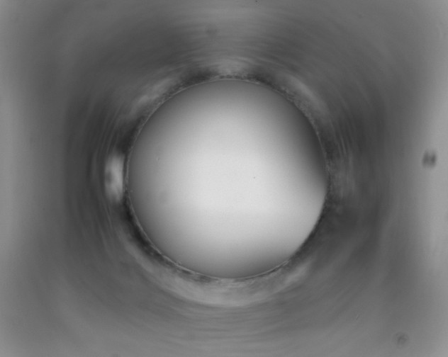 X0000092290028200709141309