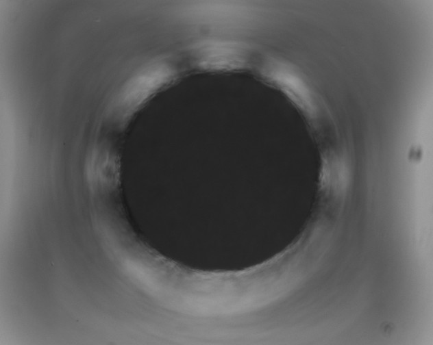 X0000092290029200709141309