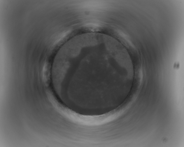 X0000092290030200709141309