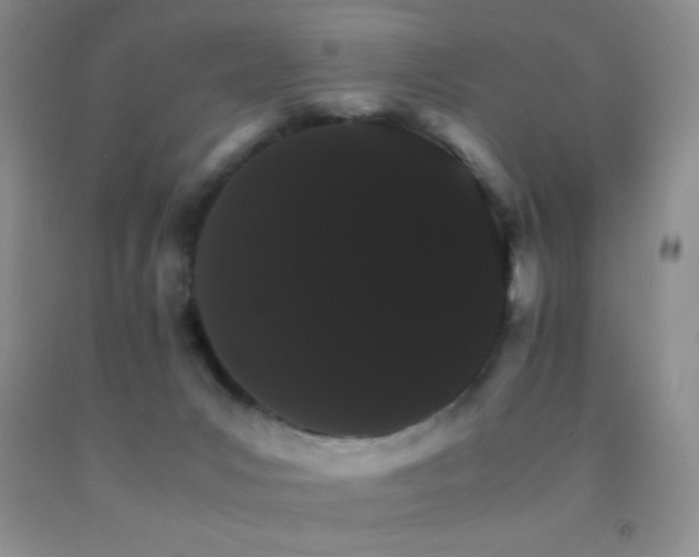 X0000092290031200709141309