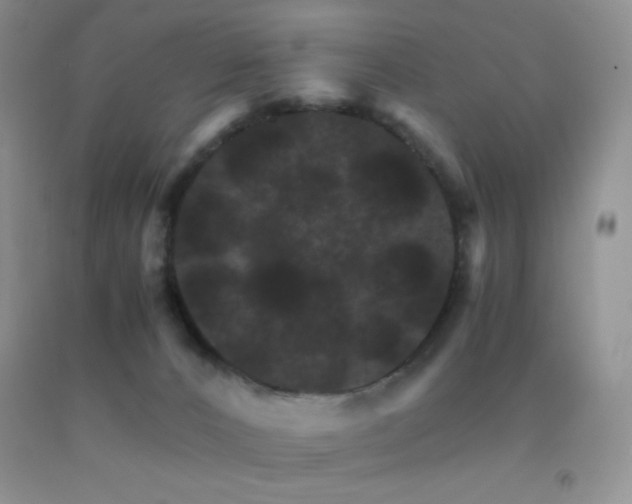 X0000092290032200709141309