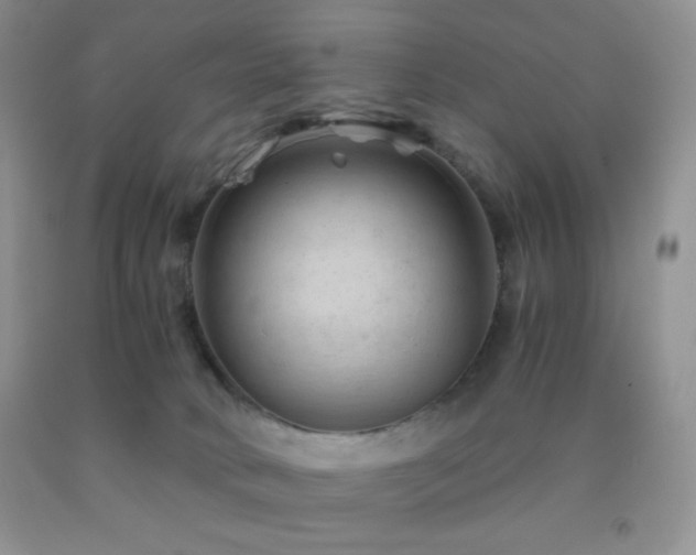 X0000092290034200709141308