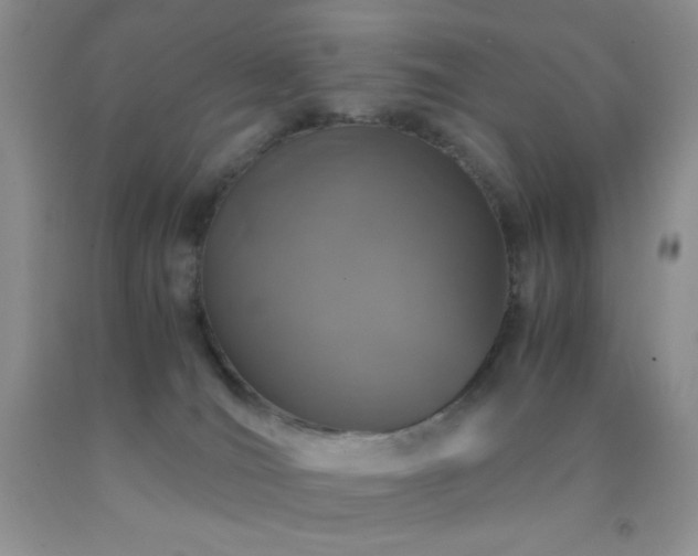 X0000092290036200709141308