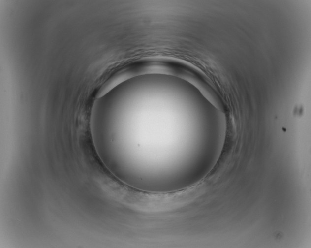 X0000092290037200709141308