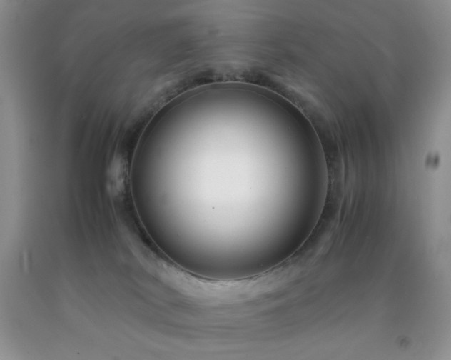 X0000092290038200709141308