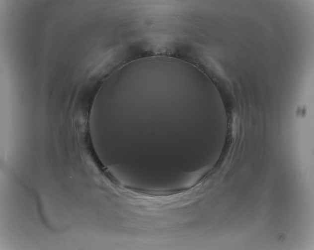 X0000092290039200709141308