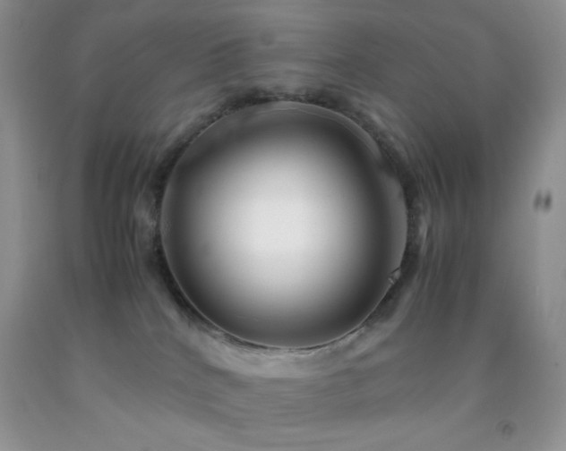 X0000092290040200709141308