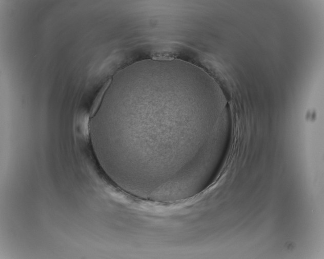 X0000092290041200709141308