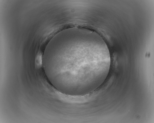 X0000092290042200709141308