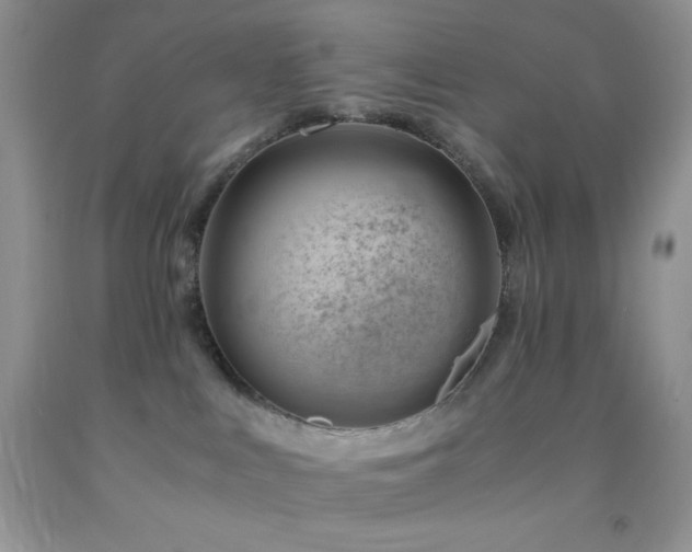 X0000092290043200709141308