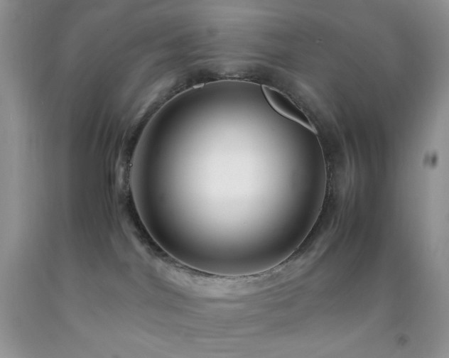 X0000092290044200709141308