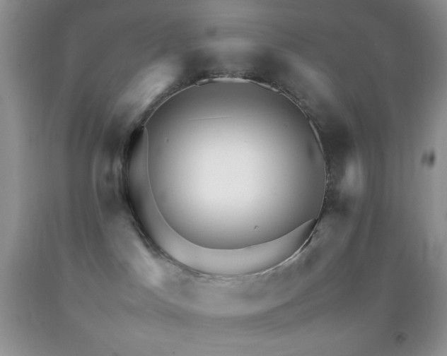 X0000092290045200709141308