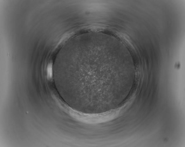 X0000092290046200709141308