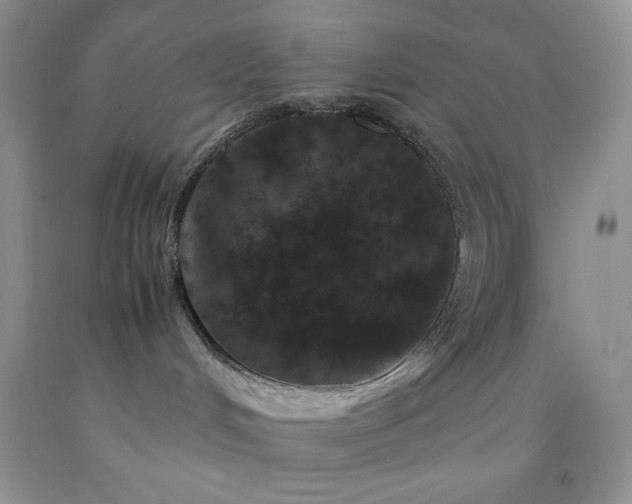 X0000092290048200709141308