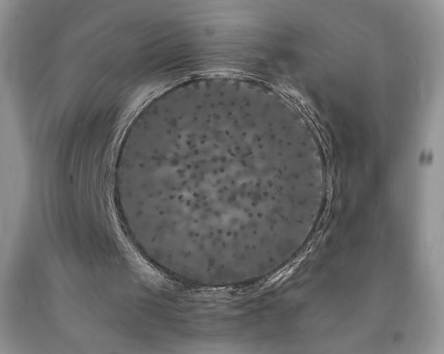 X0000092290049200709141308