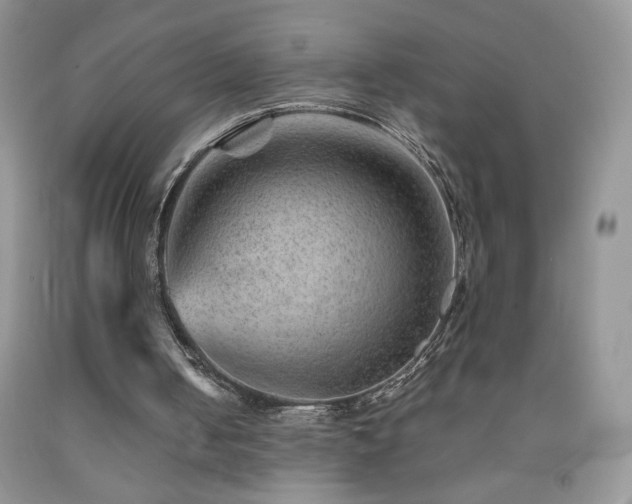 X0000092290050200709141308