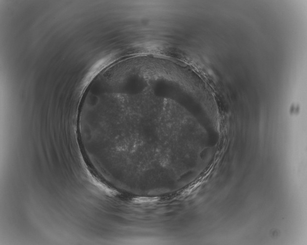 X0000092290051200709141308