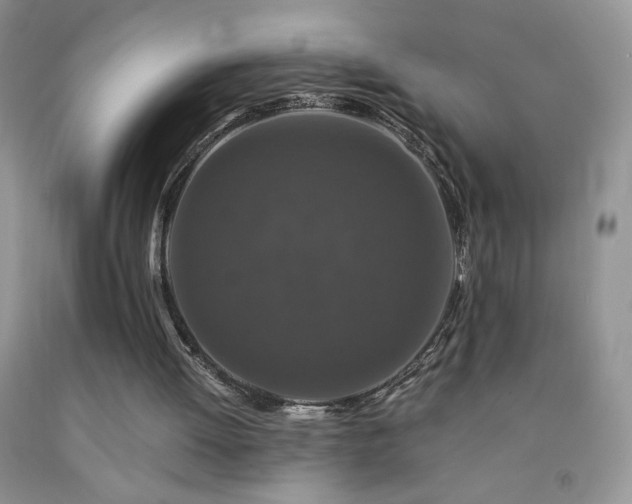 X0000092290052200709141308