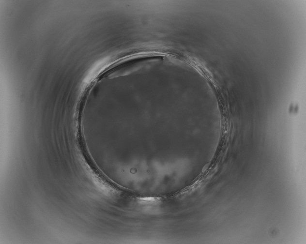 X0000092290053200709141308