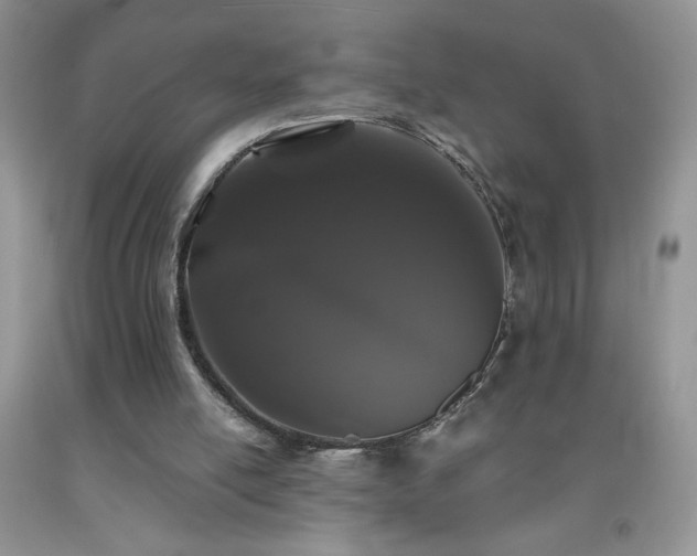 X0000092290054200709141308