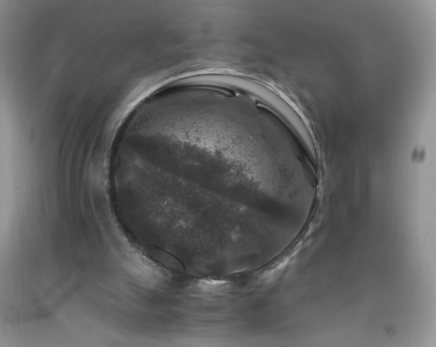 X0000092290055200709141308