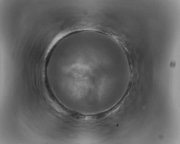 X0000092290056200709141308