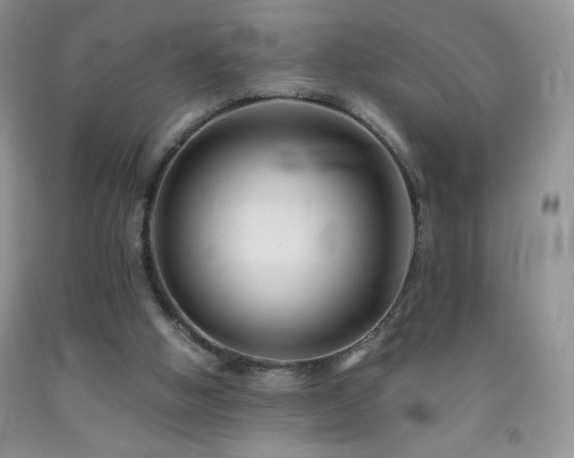 X0000092290058200709141308