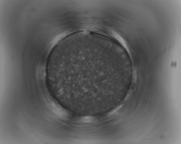 X0000092290059200709141308