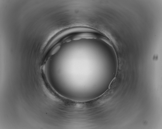 X0000092290060200709141308