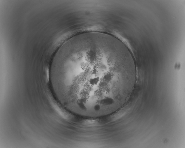 X0000092290061200709141308