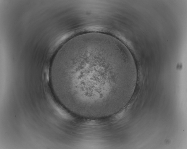 X0000092290062200709141308