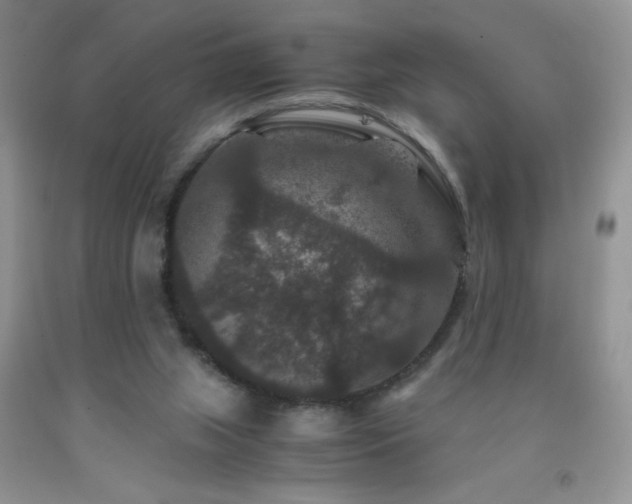 X0000092290063200709141308