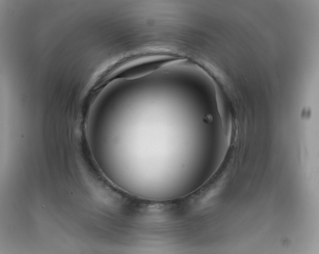 X0000092290064200709141308