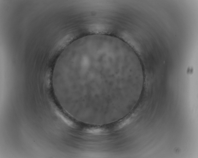 X0000092290065200709141308