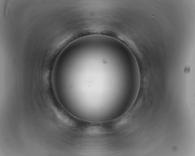 X0000092290066200709141308