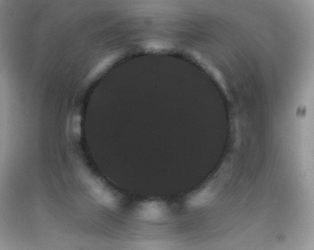 X0000092290067200709141308