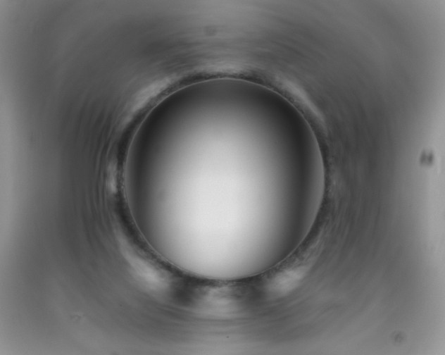 X0000092290068200709141308