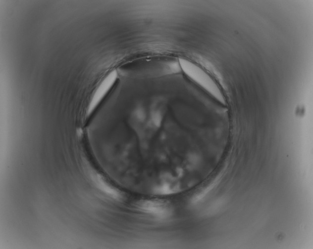 X0000092290069200709141308