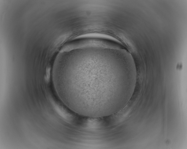 X0000092290070200709141308