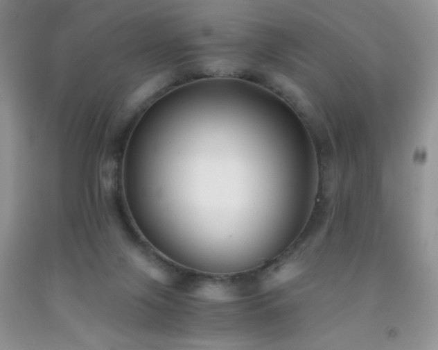 X0000092290071200709141308